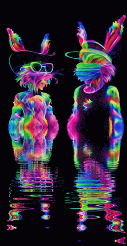 Two Colorful Rabbits Side By Side GIF