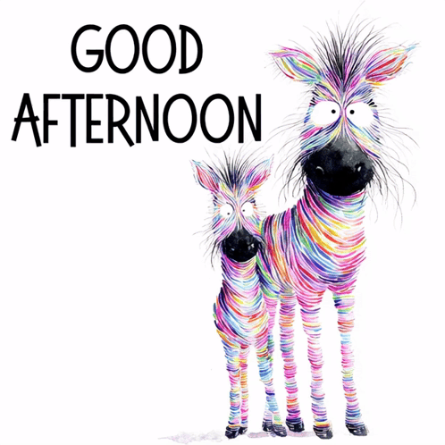 Two Colorful Zebras Are Standing Next To Each Other With The Words Good Afternoon Above Them GIF
