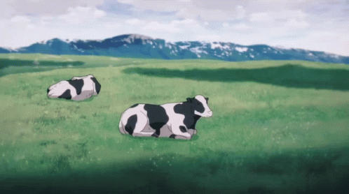 Two Cows Laying Down in Field With Mountains