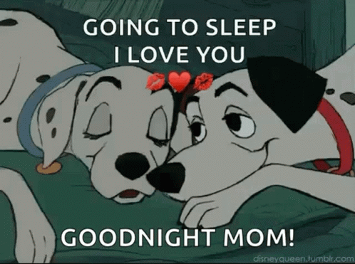 Two Dalmatians Laying On Bed GIF