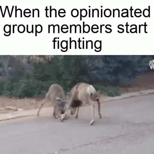 Two Deer Fighting When Opinionated Group Members Fight