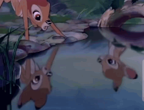 Two Deer Standing by Water