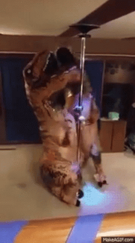 Two Dinosaur Mascots Pole Dancing GIF