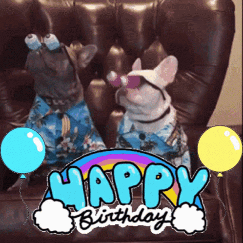 Two Dogs Are Sitting On A Couch With Balloons And The Words Happy Birthday GIF