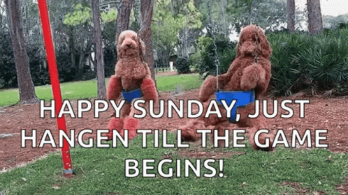 Two Dogs Are Sitting On A Swing In A Park With The Words `` Happy Sunday , Just Hangen Till The Game Begins ! '' GIF