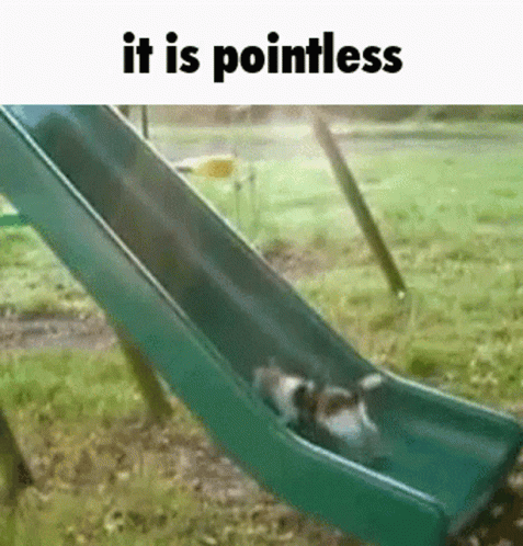 Two Dogs Going Down a Slide Saying It Is Pointless
