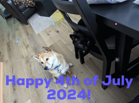 Two Dogs Happy 4th of July 2024