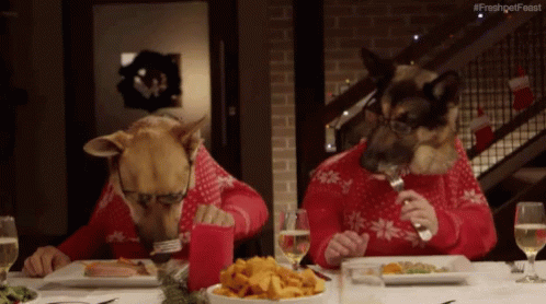Two Dogs In Red Sweaters Eating #Freshgetfeast GIF