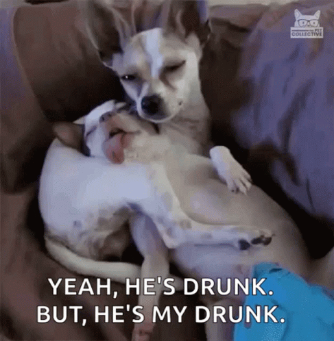 Two Dogs Laying on Couch One Says Yeah Hes Drunk
