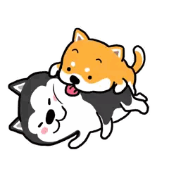 Two Dogs Laying on Top of Each Other