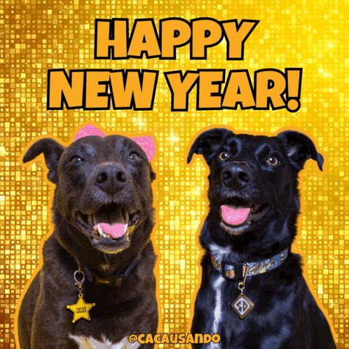 Two Dogs On A Yellow Background With The Words Happy New Year Written Above Them GIF