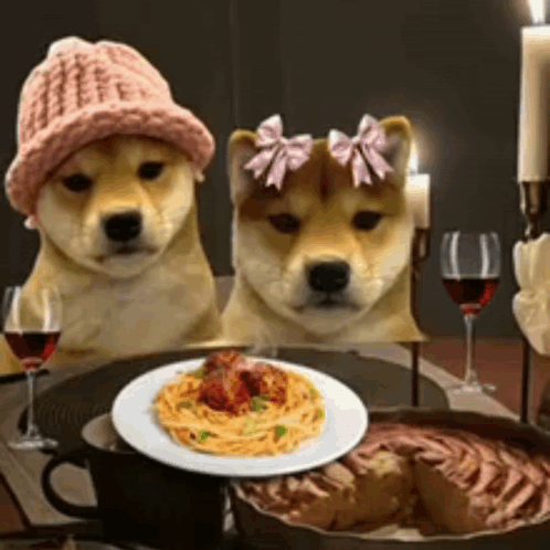 Two Dogs Sitting At Table With Spaghetti GIF