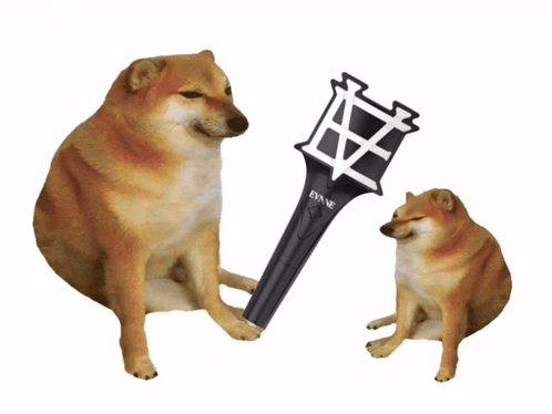 Two Dogs Sitting Next To Each Other One Holding A Evane Light Stick GIF