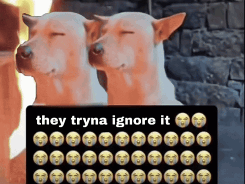 Two Dogs Standing Next to Keyboard Saying They Tryna Ignore It