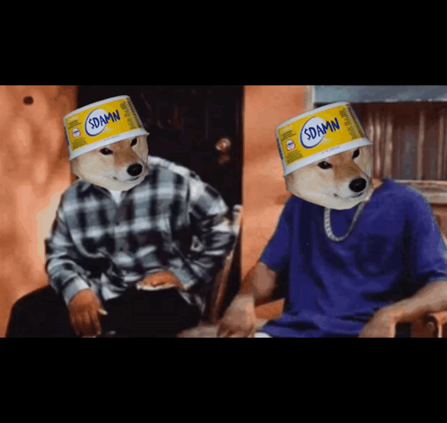 Two Dogs Wearing Cans On Their Heads With The Word Damn On Them GIF