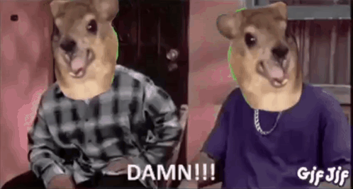 Two Dogs Wearing Plaid Shirts And Purple Shirts Are Sitting Next To Each Other In A Chair . GIF