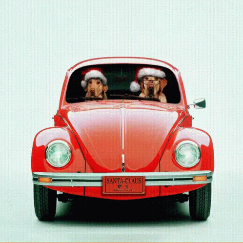 Two Dogs Wearing Santa Hats Are In A Red Car GIF