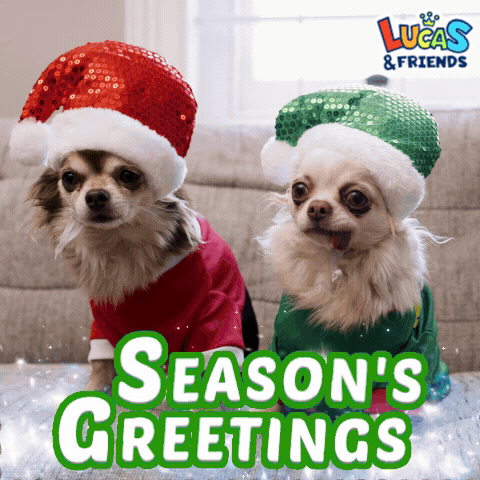 Two Dogs Wearing Santa Hats With The Words Season 'S Greetings GIF