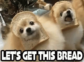 Two Dogs Wearing Slices Of Bread On Their Heads And The Words `` Let 'S Get This Bread '' . GIF