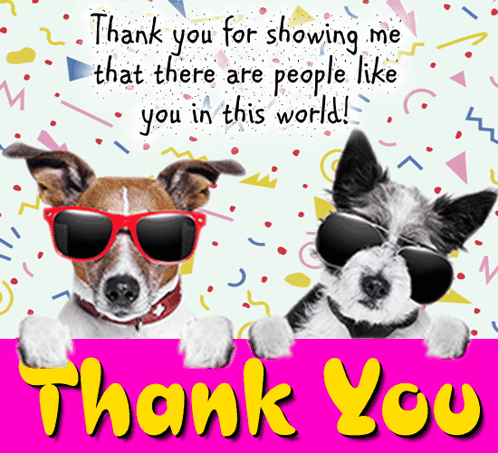 Two Dogs Wearing Sunglasses Are Behind A Sign That Says " Thank You For Showing Me That There Are People Like You In Thi GIF