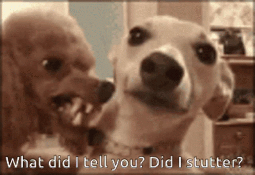 Two Dogs With What Did I Tell You Did I Stutter