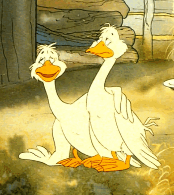 Two Ducks Are Standing Next To Each Other In A Cartoon GIF
