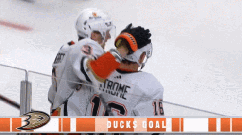 Two Ducks Hockey Players Hugging GIF