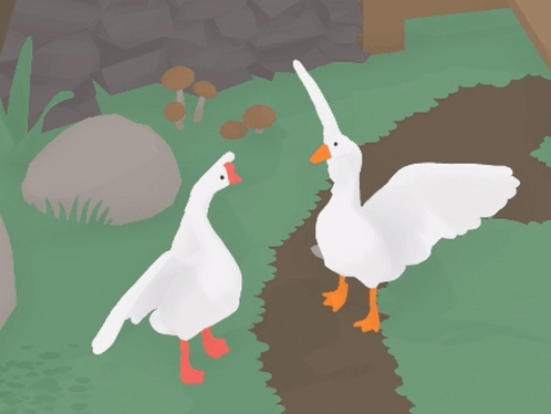 Two Ducks on Grassy Path