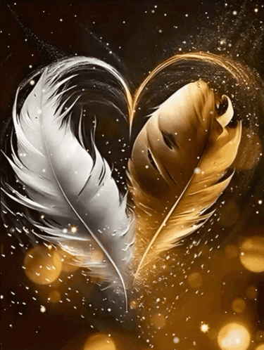 Two Feathers In The Shape Of A Heart Are Floating In The Air GIF