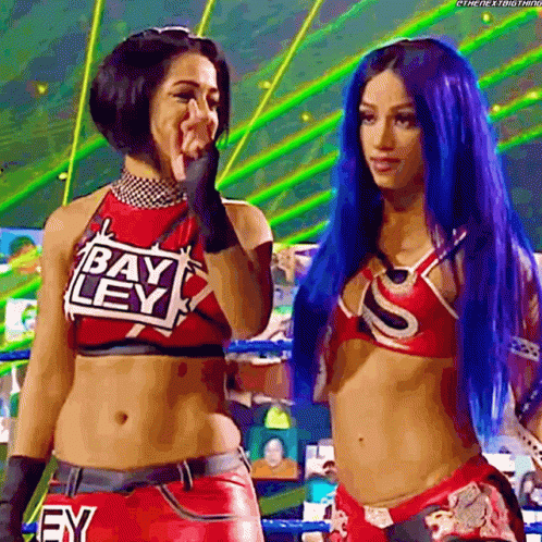 Two Female Wrestlers in Ring