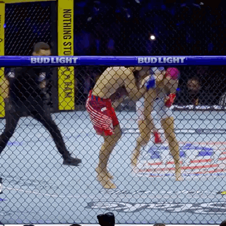 Two Fighters Cage Fighting Bud Light
