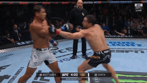 Two Fighters Fighting In Cage With UFC Logo GIF