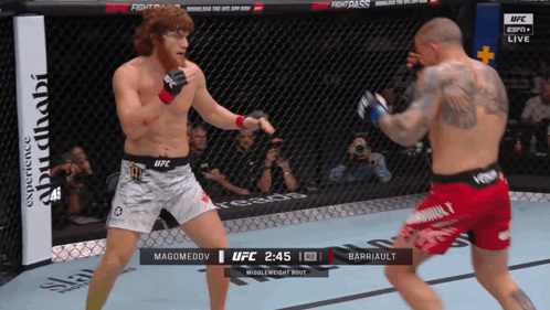 Two Fighters Fighting in Cage with UFC Logo