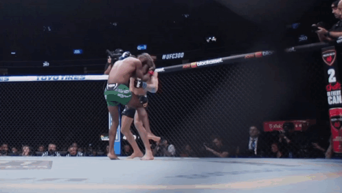 Two Fighters Fighting in Cage with UFC2010