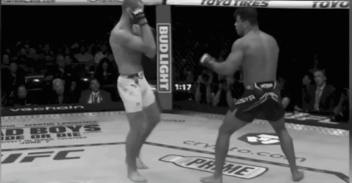 Two Fighters Fighting in Ring