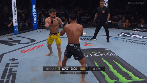 Two Fighters Fighting in Ring