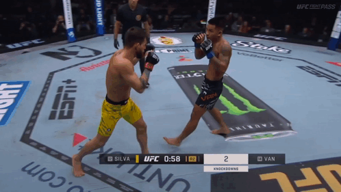 Two Fighters Fighting in UFC Ring