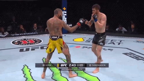 Two Fighters Fighting in UFC Ring