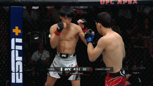 Two Fighters Fighting in UFC Ring Score 4:01