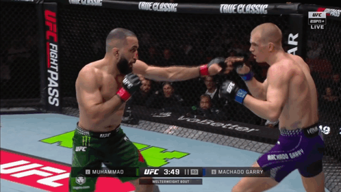Two Fighters In UFC Fight Pass Event GIF