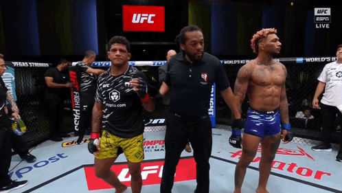 Two Fighters In UFC Ring With Referee GIF
