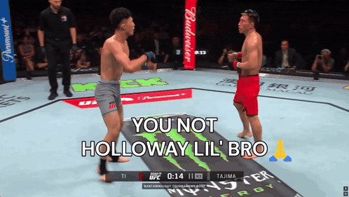 Two Fighters Ring You Not Holloway Lil Bro GIF
