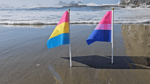 Two Flags On A Beach One Of Which Says Pansexual GIF