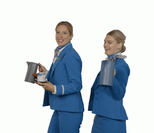 Two Flight Attendants Landed GIF