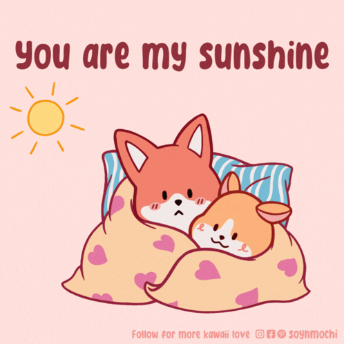 Two Foxes Sleeping Under Blanket You Are My Sunshine