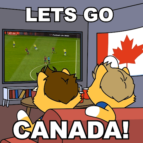 Two Foxes Watching Soccer Game Lets Go Canada