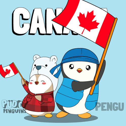 Two Foxes Watching Soccer Game Lets Go Canada