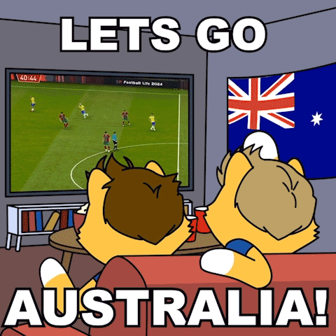 Two Foxes Watching Soccer Lets Go Australia