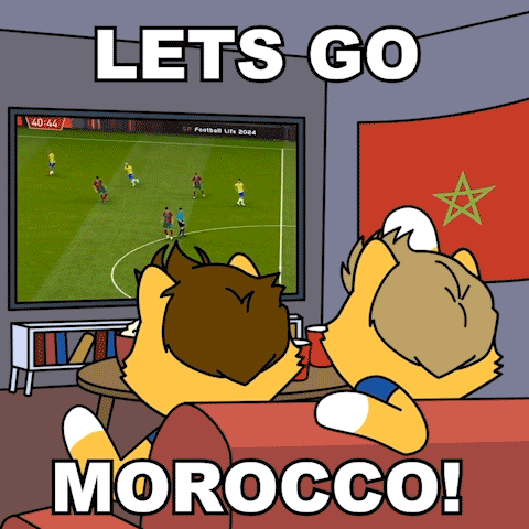 Two Foxes Watching Soccer Lets Go Morocco GIF