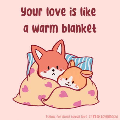 Two Foxes Wrapped in Blanket Love